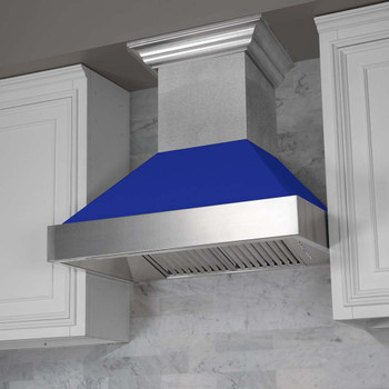 ZLINE Bundle Package - 48" Dual Fuel Range in DuraSnow W/ Blue Matte Door with 48" DuraSnow Stainless Steel Range Hood with Blue Matte Shell