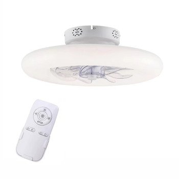 HomeRoots Minimalist Ceiling Fan and Light 475672