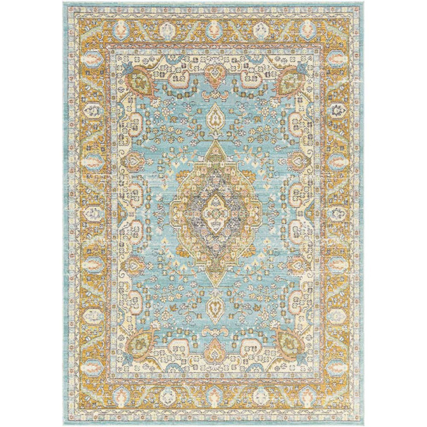 Surya Bodrum BDM-2300 Rug