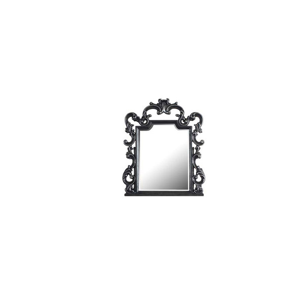 ACME House Delphine Mirror, Charcoal Finish