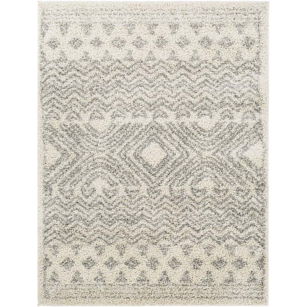 Surya TZS-2342 Taza shag Rug