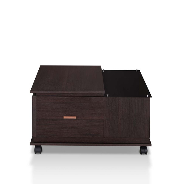 Furniture of America YNJ-16911C5 Sheldon Contemporary Multi-Storage Coffee Table
