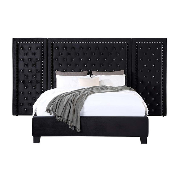 ACME BD00975Q Damazy Black Queen Bed