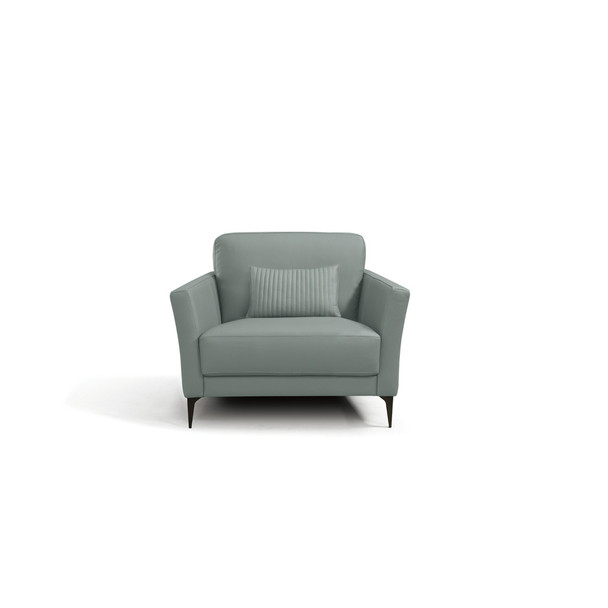 ACME LV00948 Tussio Chair with Pillow