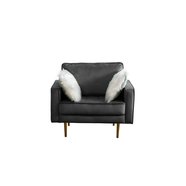 Lilola Home Theo Gray Velvet Chair with Pillows 81359-C
