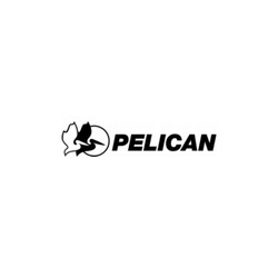 Pelican