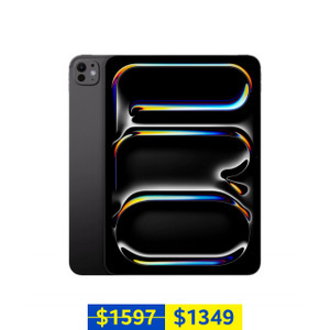 Apple iPad Pro 11-inch (M4 Chip, 256GB, Wi-Fi, Space Black, 2024)