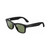 Ray-Ban Meta Wayfarer Gen 2 (Shiny Black/Clear Graphite Green Transitions)