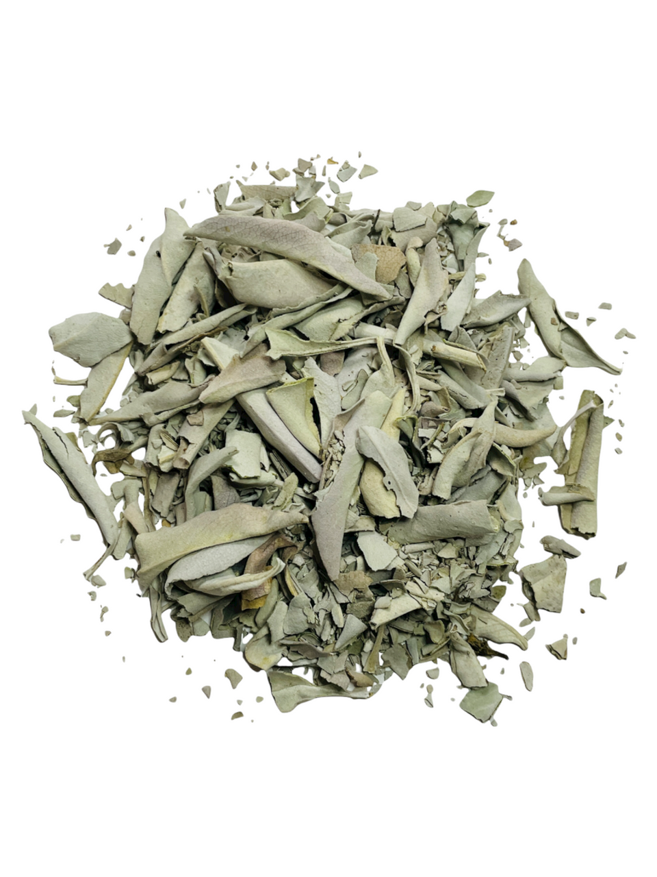 White Sage - 11cm Salvia Blanca of the Best Quality!