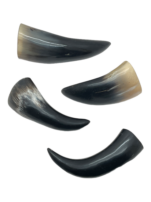 Bull Horn Tarros De Buey 6" to 8" For Power, Strength, Warriors, ETC. (HORN CHOSEN AT RANDOM)