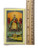Virgen De Regla Colorful Laminated 4" x 2.5" Prayer Card With Spanish Oracion