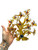 Lucky Evil Eye Gold Butterfly Flowers Prosperity Tree Feng Shui Tree For Protection, Ward Off Evil, Good Luck, ETC.