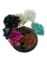 Tree Of Life Money Tree Multicolor Gemstone Clusters & Pyrite - Good Luck, Chakra Balance, Energy Amplification (4")