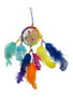 Rainbow Dreamcatcher: Dreams of Joy (9")