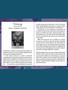 The Oracle Of Awakening / Open Your Heart & Mind / Lalania Simone / 44 Card Deck / 112 Page Guidebook