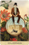 Tarot Of Mystical Moments / Catrin Welz-Stein / 83 Card Deck / 96 Page Guidebook