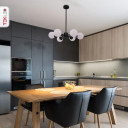 Snowflake Opal Globe Glass Black Body Ceiling Light E27