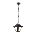 Matte Black Cottage Pendant Ceiling Light