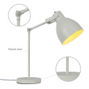 Adjustable Armature Desk Lamp