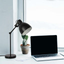 Adjustable Armature Desk Lamp