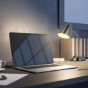 Modern Flex Neck Metal Desk Lamp