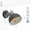 Grey Dome Shade Grey Metal Body Ceiling and Wall Light