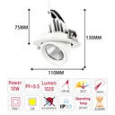 Adjustable LED Scoop Downlight – 10W 3CCT IP65
