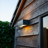 Lutec Gemini RGB Outdoor LED Wall Light