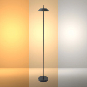 Portable LED Floor Lamp with Dimmable CCT