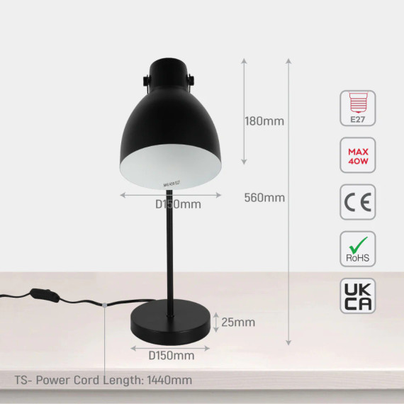 Adjustable Armature Desk Lamp