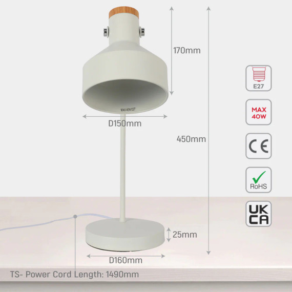 Modern Desk Lamp with Wooden Accent