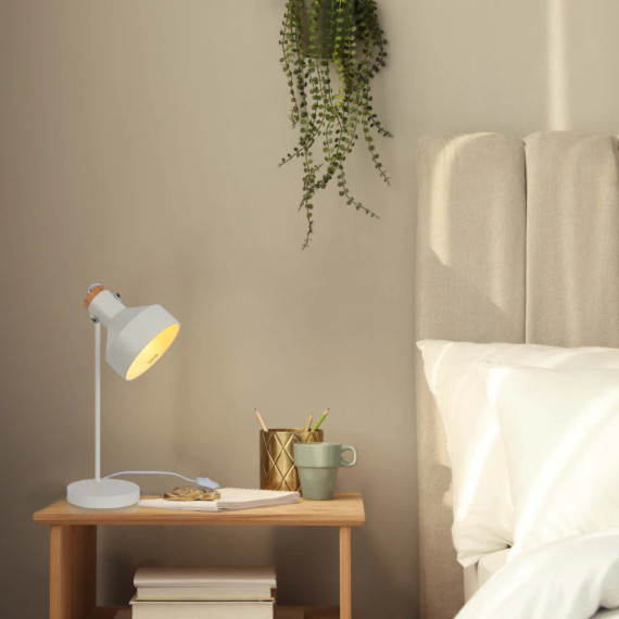 Modern Desk Lamp with Wooden Accent