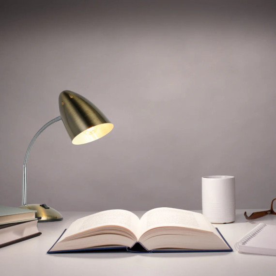 Modern Flex Neck Metal Desk Lamp