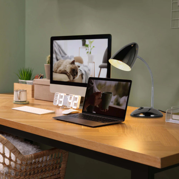 Modern Flex Neck Metal Desk Lamp