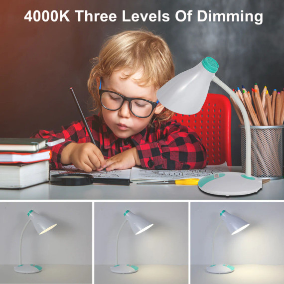 Adjustable Gooseneck Modern LED Desk Lamp