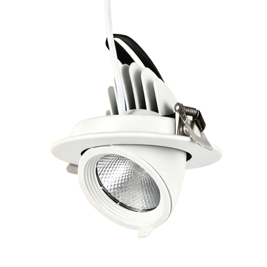 Adjustable LED Scoop Downlight – 10W 3CCT IP65