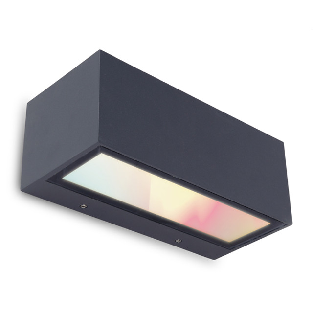 Lutec Gemini RGB Outdoor LED Wall Light