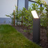 Lutec Pano LED Bollard Light