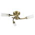 Claudia 3 Way Ceiling Light