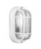 Camilla Polypropylene 60W IP44 Bulkhead Light