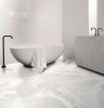 Izmir Light Grey Polished Porcelain Tile 24x24 - CASE