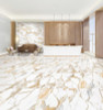 Marmo Vivo Beige Polished Porcelain Tile 24x48 - CASE