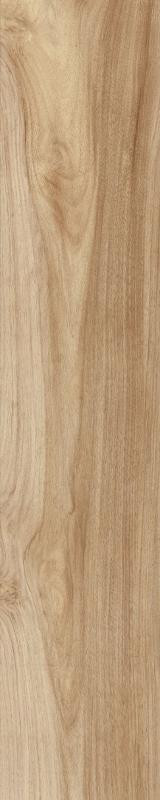 淡ページ 107941-1__83635.1599225122.jpg