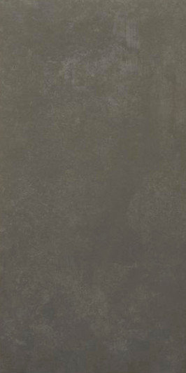 Argon Marengo Rectified Porcelain Tile 12x24 - CASE