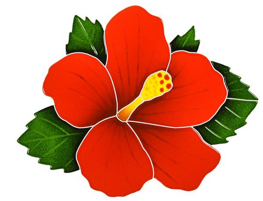 Hibiscus Red 9x10" - EACH Hibiscus Red 9x10" - EACH