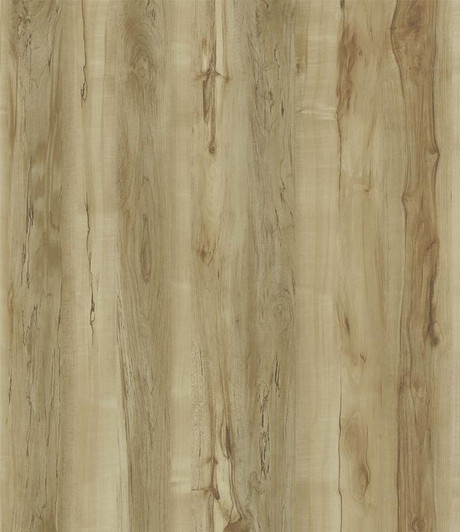 Spa White Birch SPC 5mm/12mil with Pad TW/Bev 7x48 - CASE