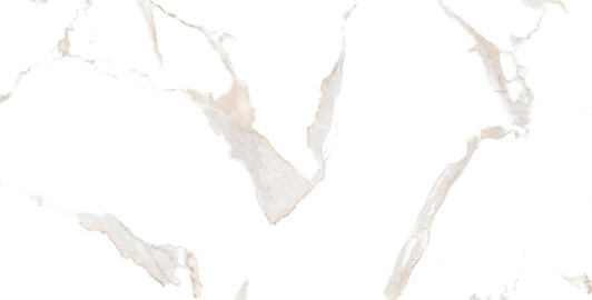 Domus Bianco Polished Porcelain Tile 32x32 - CASE