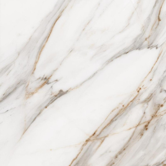 Corinto Polished Porcelain Tile 24x24 - CASE