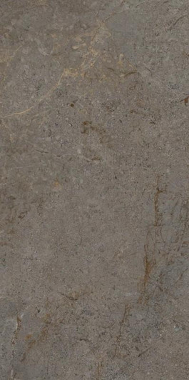 Palermo Taupe Porcelain Tile 12x24 - CASE