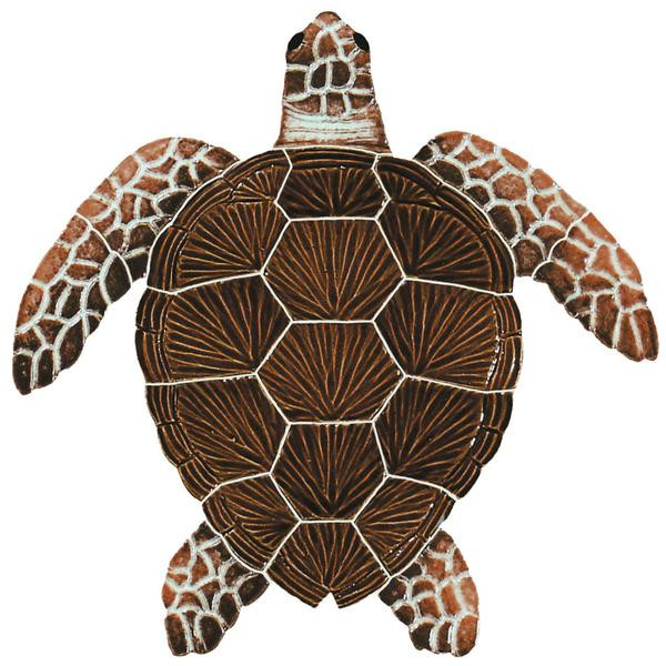 Turtle Loggerhead Brown Small 8x8" - EACH